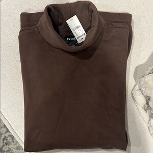 Express Brown Turtleneck Sweater